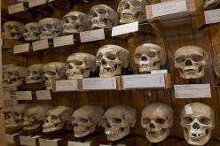 اجتماع بين الجزائر وفرنسا 7 جوان المقبل لتحديد موعد استرجاع بقية جماجم الشهداء