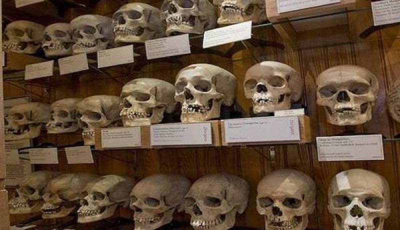 اجتماع بين الجزائر وفرنسا 7 جوان المقبل لتحديد موعد استرجاع بقية جماجم الشهداء