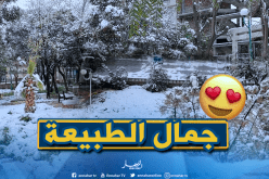 الثلوج ترسم لوحات فنية بالأغواط والبيض