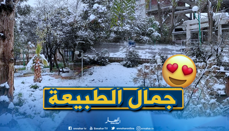 الثلوج ترسم لوحات فنية بالأغواط والبيض