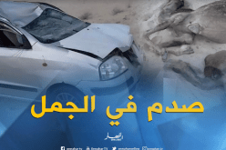 3 جرحى في اصطدام سيارة بجمل بالوادي