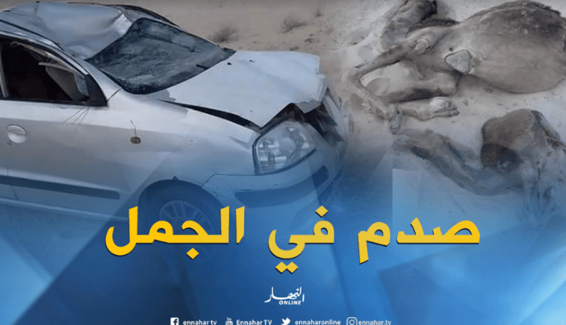 3 جرحى في اصطدام سيارة بجمل بالوادي