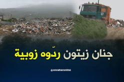 بستان زيتون يتحول لمكب النفايات في الشلف