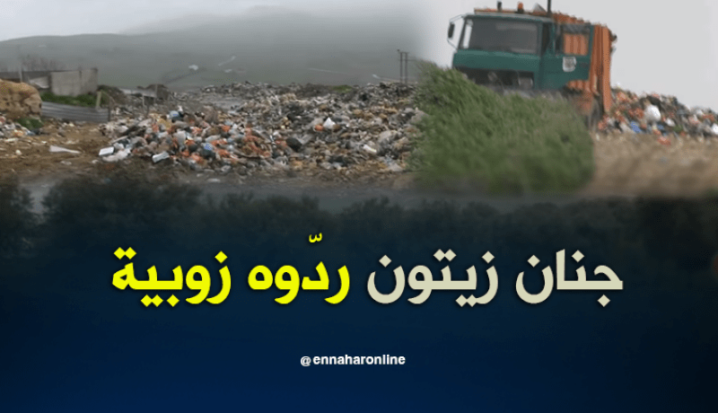 بستان زيتون يتحول لمكب النفايات في الشلف