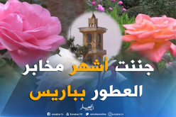 بالصور ..”EL Golea” الوردة التي ألهمت ملوك ورؤساء الحكومات في قلعة الورود بالمنيعة ‎