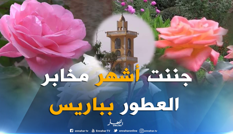 بالصور ..”EL Golea” الوردة التي ألهمت ملوك ورؤساء الحكومات في قلعة الورود بالمنيعة ‎