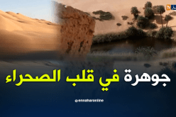 واحة العين الطيبة ..جوهرة في قلب الصحراء !!