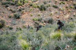 توقيف عنصر دعم للإرهاب بالبويرة