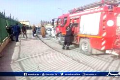 بالصور.. 8 جرحى في 3 حوادث مرور بتبسة
