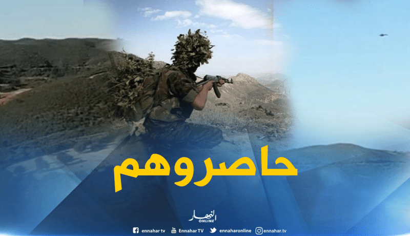 بالفيديو.. الجيش يحاصر أمير الشرق “أبو ضرار” والأمير ليتيم عادل بوادي بيسي