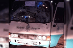 حاسي الرمل.. نجاة جميع الركاب في إصطدام حافلة بجمل