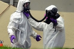 الولايات المتحدة: إعلان عن حالة الطوارئ في كاليفورنيا