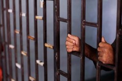حبس صاحب الحافلة المجنونة الذي حطم 3 حواجز أمنية بطريقة جنونية