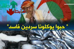 طالع هابط: وزارة السردين والعوم في البحر..