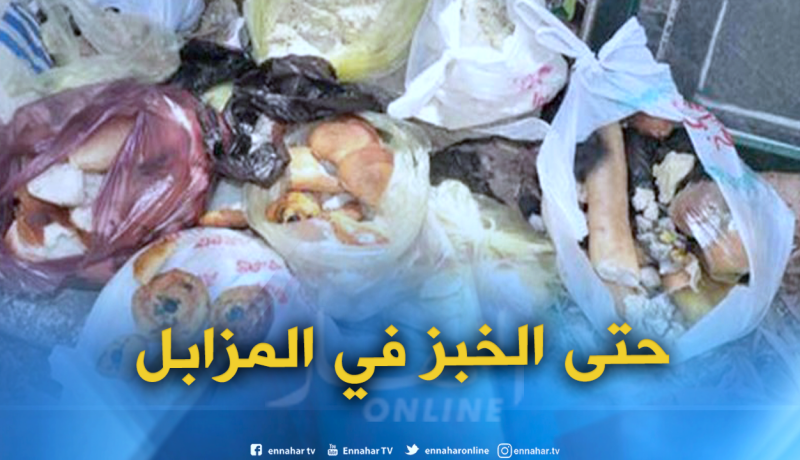 جمع 800 ألف طن من النفايات و135 طن من الخبز خلال 9 أشهر بالعاصمة