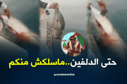 الشيخ النوي :حتى الدلفين..ماسلكش منكم