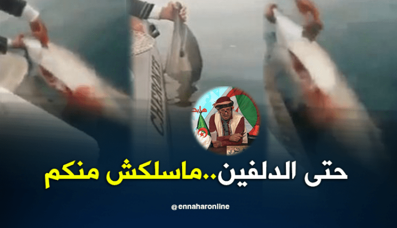 الشيخ النوي :حتى الدلفين..ماسلكش منكم
