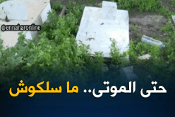 الطارف: إيقاف راقي رفقة ثلاث نساء بمقبرة سيدي قاسي بتهمة ممارسة الشعوذة
