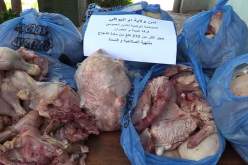 حجز أزيد من قنطارين ونصف من الدجاج الفاسد بأم البواقي