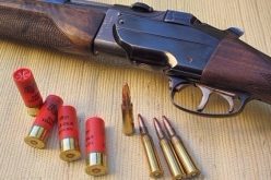 معسكر.. توقيف مشتبه فيه وحجز بندقية صيد دون وثائق