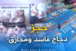 حجز 51 قنطار من الدجاج الفاسد واحباط محاولة تهريب 28 ألف مفرقة بالوادي 