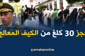 غليزان: الدرك الوطني يحجز ما يقارب 30 كلغ من الكيف المعالج