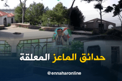 الشيخ النوي..حدائق الماعز المعلقة ببني صاف