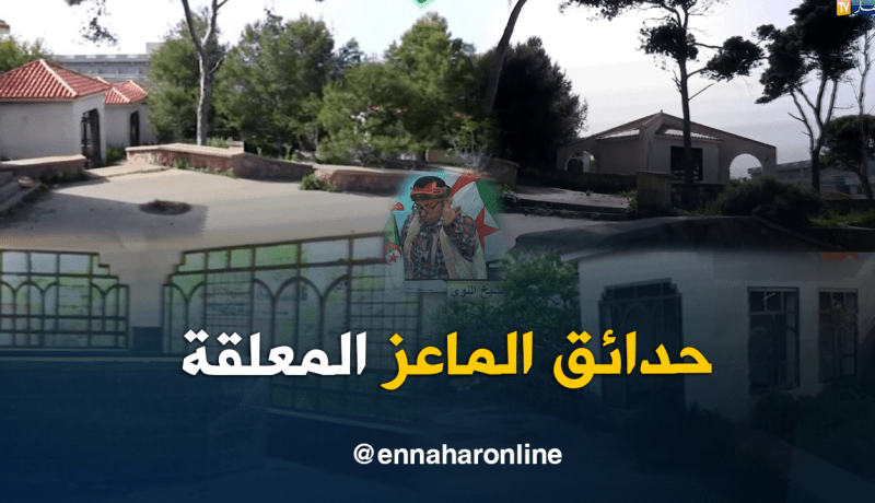 الشيخ النوي..حدائق الماعز المعلقة ببني صاف