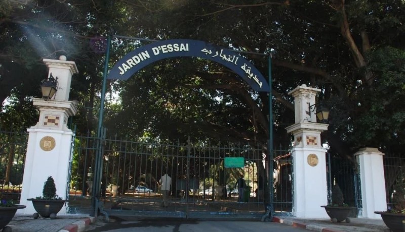 استرجاع شبلي أسد تمت سرقتهما بحديقة التجارب في الحامة