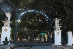 أمن حسين داي يسترجع شبلين سُرقا من حديقة الحامة بالعاصمة