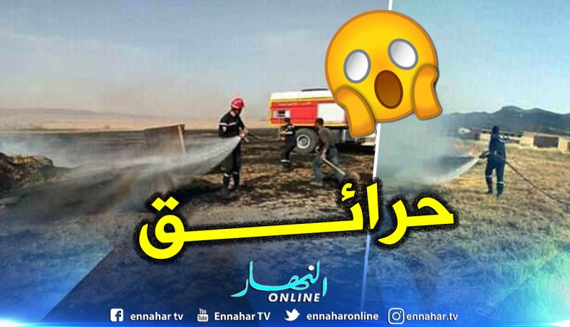 بالصور.. ولاية تبسة تسجل 4 حرائق بالأراضي الفلاحية اليوم