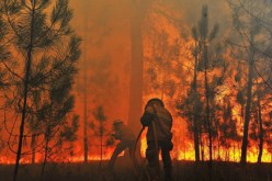 هلاك 50 شخصا جرّاء حرائق باليونان