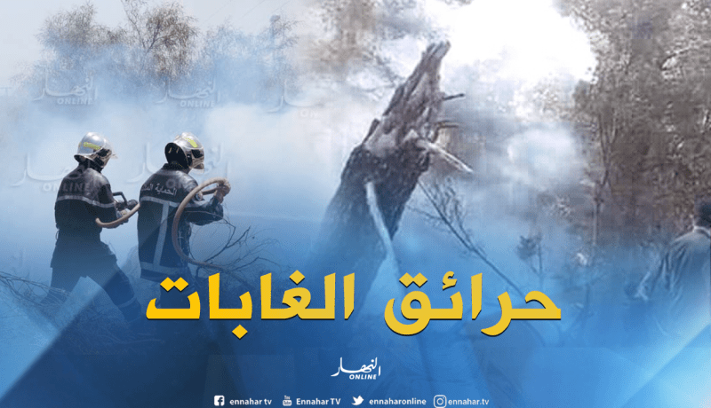 الحرائق تتلف 1263 هكتار من الأراضي منذ جوان الماضي