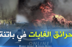 حريق يأتي على 3 هكتارات من الغابات بذراع عيسى في باتنة