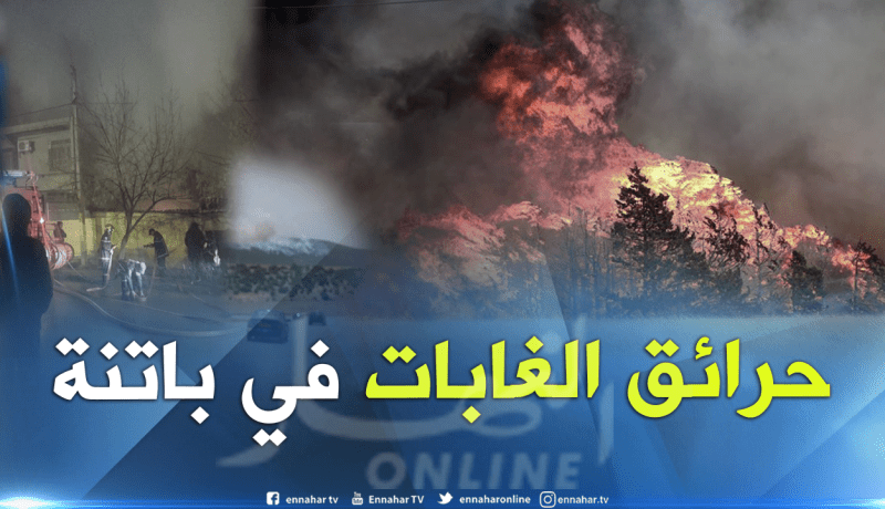 حريق يأتي على 3 هكتارات من الغابات بذراع عيسى في باتنة