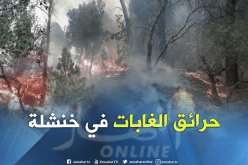 بالصور.. الحرائق  تأتي على أكثر من 150 هكتارا بغابة بني أوجانة في خنشلة