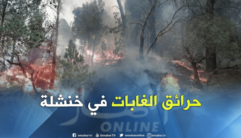 بالصور.. الحرائق تأتي على أكثر من 150 هكتارا بغابة بني أوجانة في خنشلة