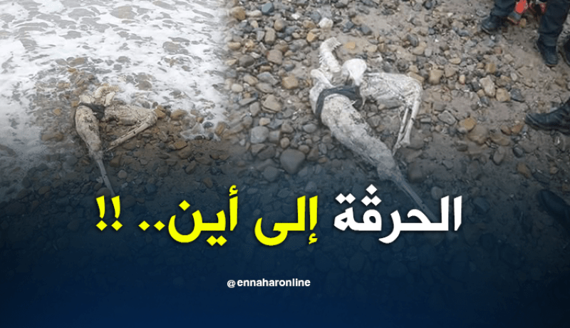 البحر يلفظ جثة “حراڨ” آخر بشاطئ “بحارة” في مستغانم