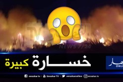 أدرار.. حريق بفصور بودة يتلف 200 نخلة