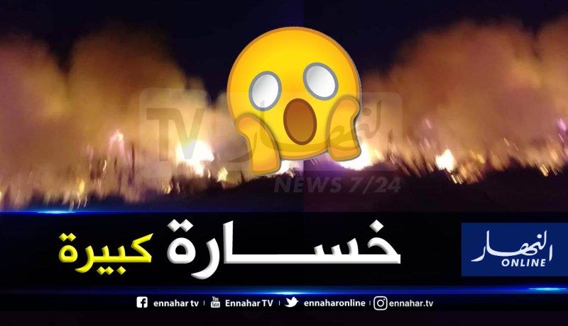 أدرار.. حريق بفصور بودة يتلف 200 نخلة
