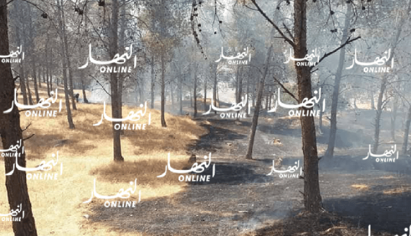 غليزان.. حريقان يتسببان في اتلاف 5 هكتارات من الاشجار بغابة الرمكة وعين طارق