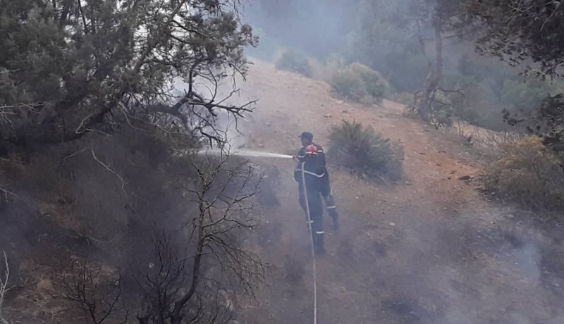الشلف: إندلاع حريقي غابة بالجهة الشمالية للولاية في وقت واحد