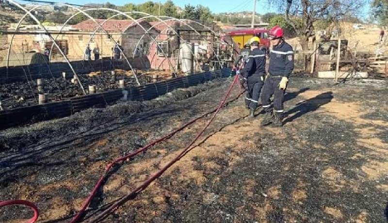 المدية: تلف 3000 حزمة تبن و10 قناطير من الثوم في حريق