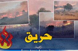بالصور.. إخماد حريق بغابة حناشة بالونزة في تبسة