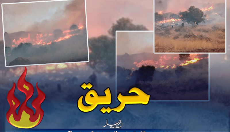 بالصور.. إخماد حريق بغابة حناشة بالونزة في تبسة