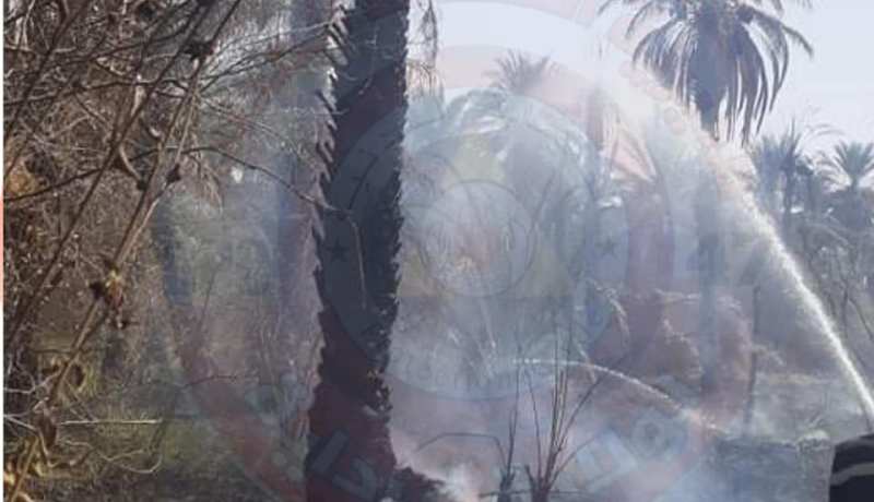 بالصور.. حريق يتلف 60 نخلة مثمرة بحاسي الڨارة في المنيعة