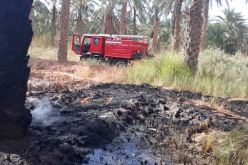 الوادي.. حريق يتلف 9 نخلات مثمرة بأم الطيور