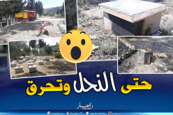 بالصور.. حريق بتعاونية تربية النحل بالحمامات في تبسة