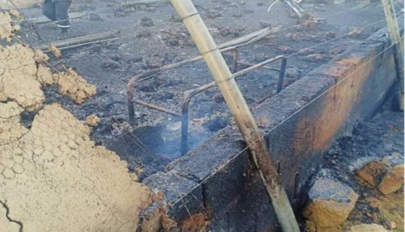 بالصور.. حريق بمستودع لتربية الدواجن يأتي على 3 آلاف دجاجة بأم البواقي