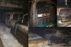 ألجيري فيري.. تعويض المسافرين المتضررين من حريق “طارق بن زياد”